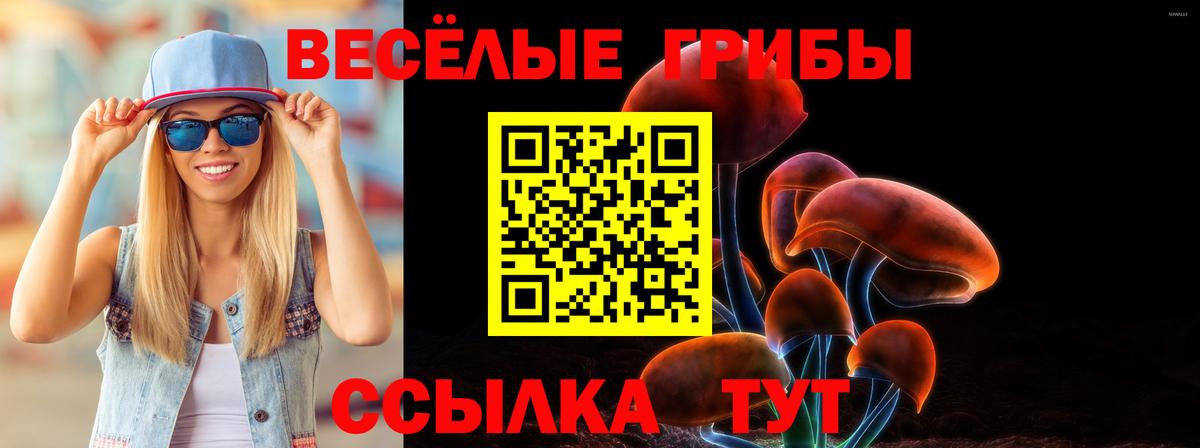 Галлюциногенные грибы Psilocybe  Вход с VPN  даркнет сайт  Химки  Псилоцибиновые грибы Psilocybe 