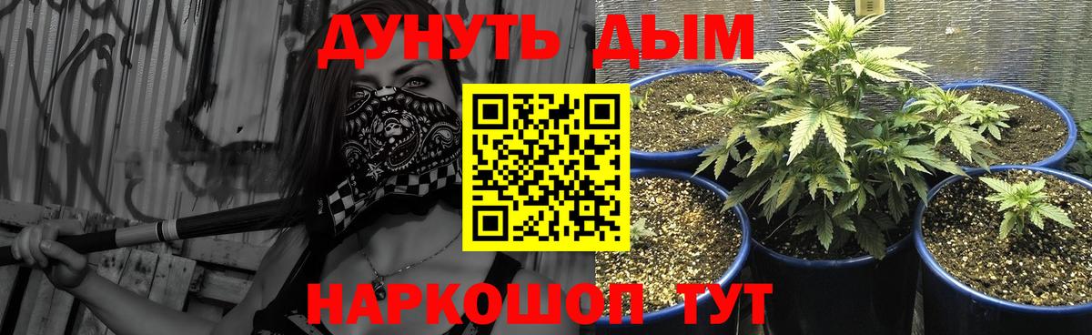 Канабис сатива  Марихуана Amnesia  Вход с VPN  Конопля AK-47  Химки 